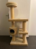 Katzenbaum