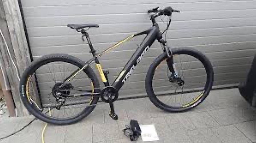 Biciclette: E-Bike Trelago Furly – Usato da Malans GR venduto da Hurdigurdi 1