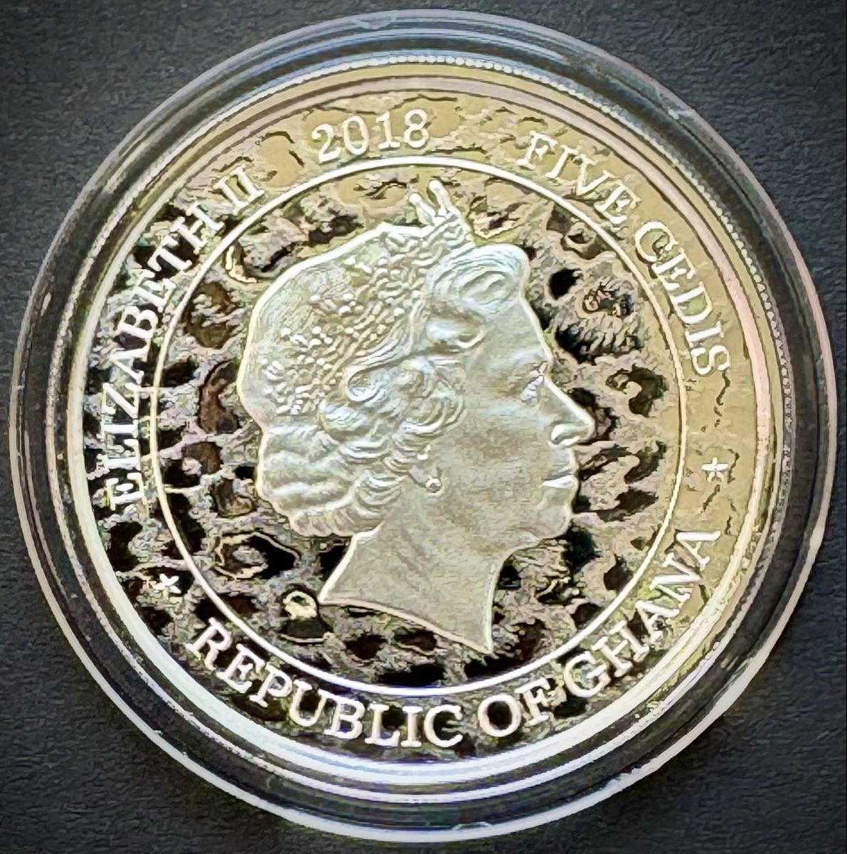 Tutti le monete: 1 OZ- Ghana African Leopard 2018 – Usato da Zürich venduto da Circle-9-Coins 1