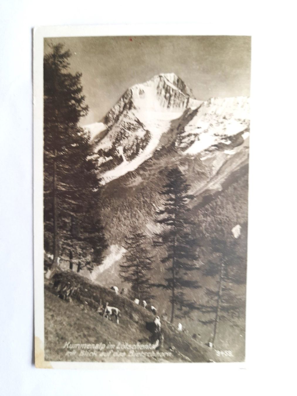 Tous les timbres: ZEPPELIN - Schweizerflug - roter SSt. 2.XI.1929 > ST.GALLEN – D'occasion à Uster par schepus23 1