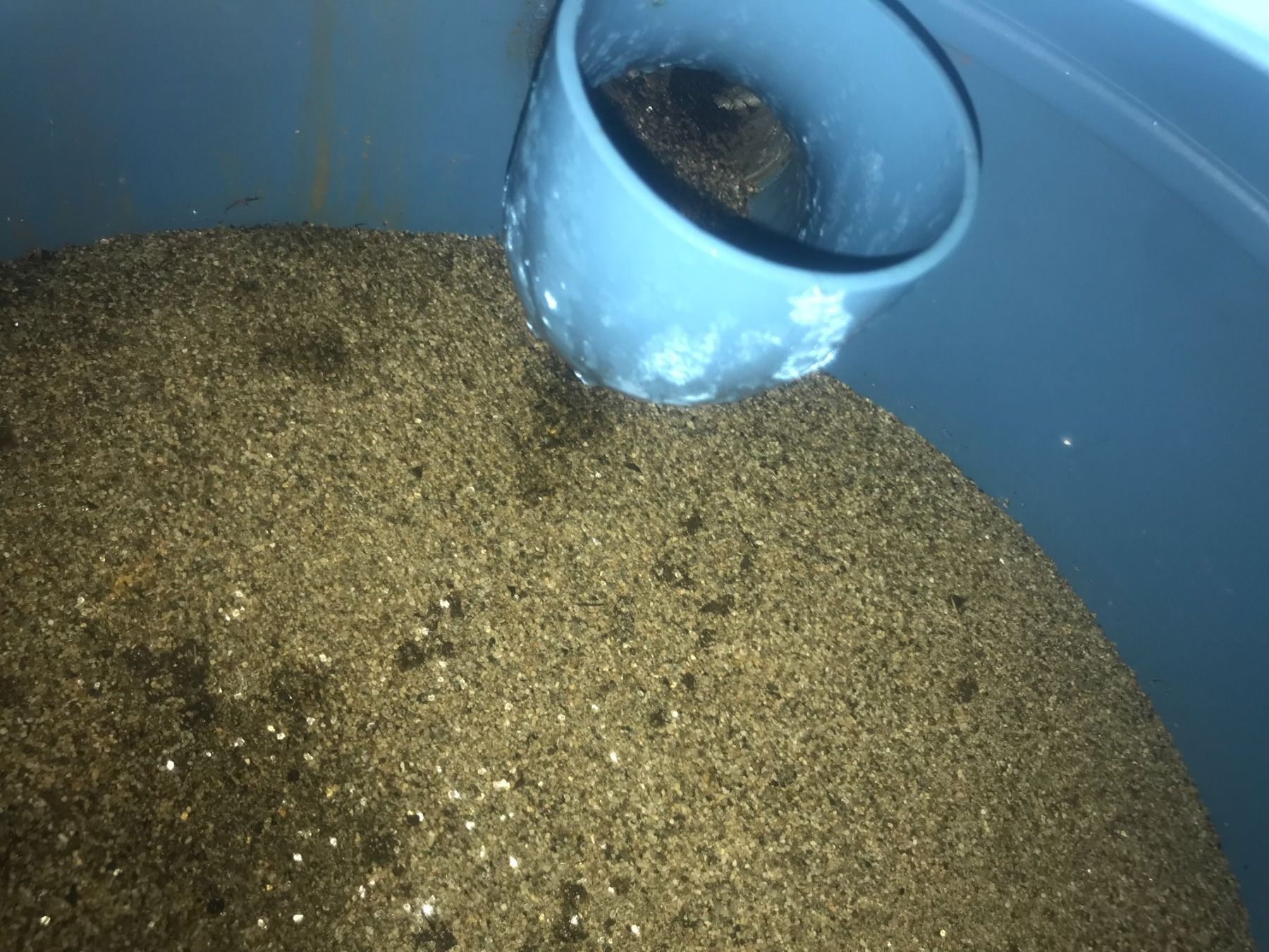 Schwimmbad-Zubehör: Sandfilter Bewässerung – Gebraucht aus Hörhausen von pop13 4