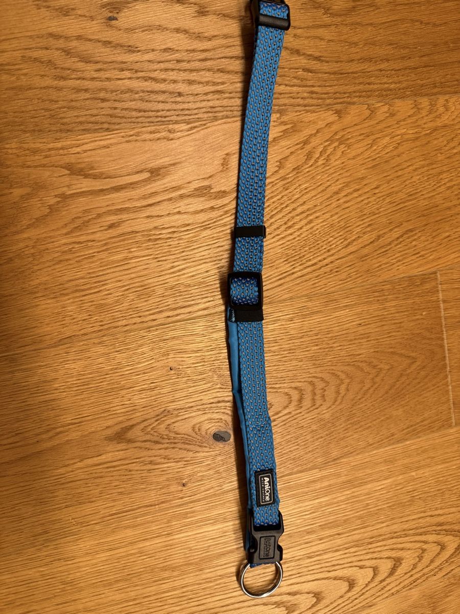 Nastri decorativi: Hundehalsband Anione M – Nuovo (secondo la descrizione) da Winterthur venduto da 2mirj 2