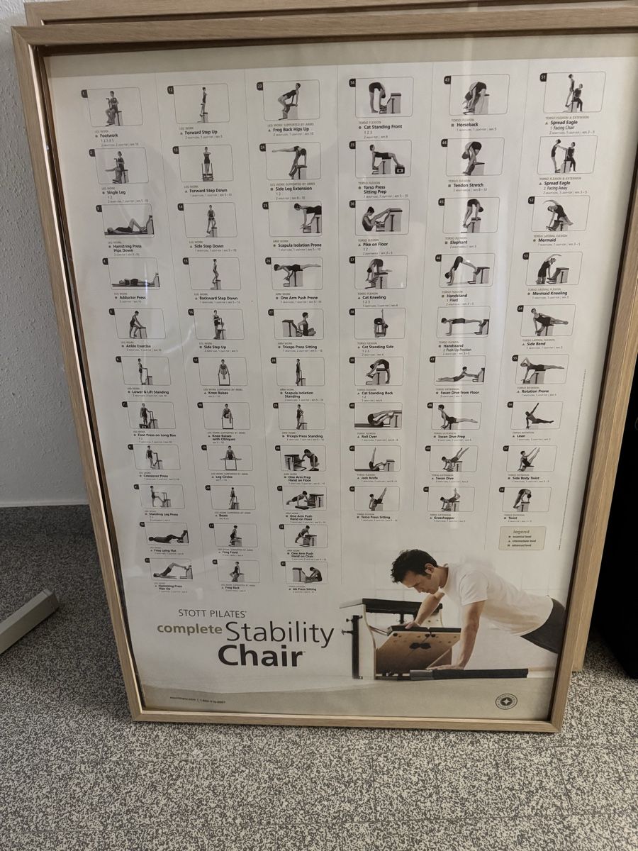 Poster & Bilder: Original STOTT PILATES Anatomie Poster mit Holzrahmen – Gebraucht aus Au ZH von sha_dqx2 2