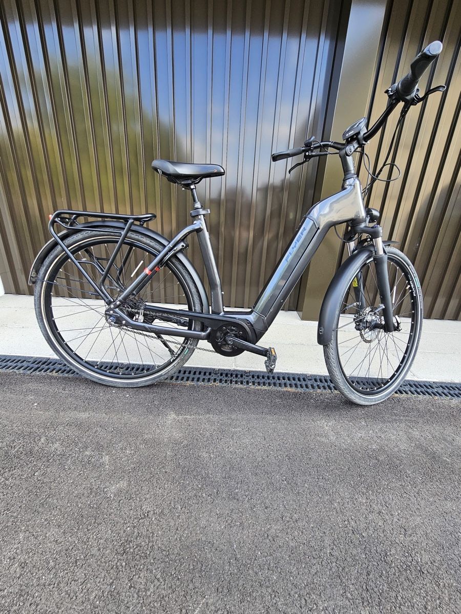 Flyer Biciclette: E-Bike Flyer – Usato da Bern venduto da ser_7vtn 1