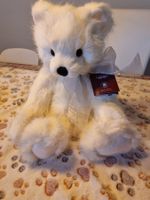 Sammelteddy