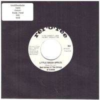 BOB HOLMES & THE STRING OF AVALON
