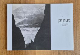 Buch Pinut der historische Klettersteig in Flims neu