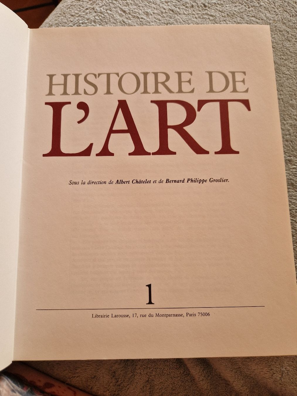 Libri: Larousse Histoire de L'art 1 et 2  – Usato da Les Agettes venduto da Mazikeen 1