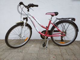 Kindervelo California Rose