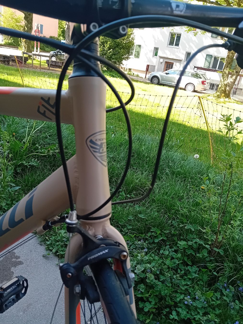 Velos: Corelli Fit 1 Fahrrad – Gebraucht aus Bern von romanherold 2