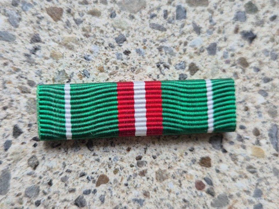 Schweizer Armee Placchette & Badge: *** Ribbon Innlandeinsatz Schweizer Armee *** – Nuovo e nell'imballaggio originale da Riedholz venduto da fr_sIruP