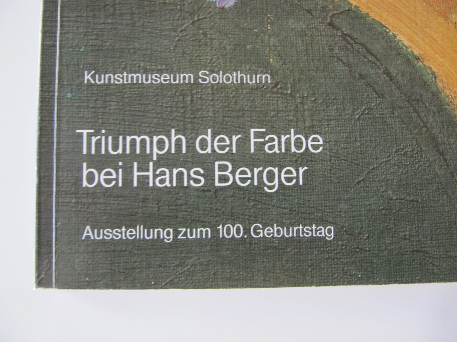 Libri: Kunstmuseum Solothurn Triumph der Farben – Usato da Basel venduto da Kuba2 1