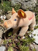 Antikes Steiff Schweinchen