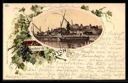 Passepartout-AK Nyon, Hafen und Weintrau