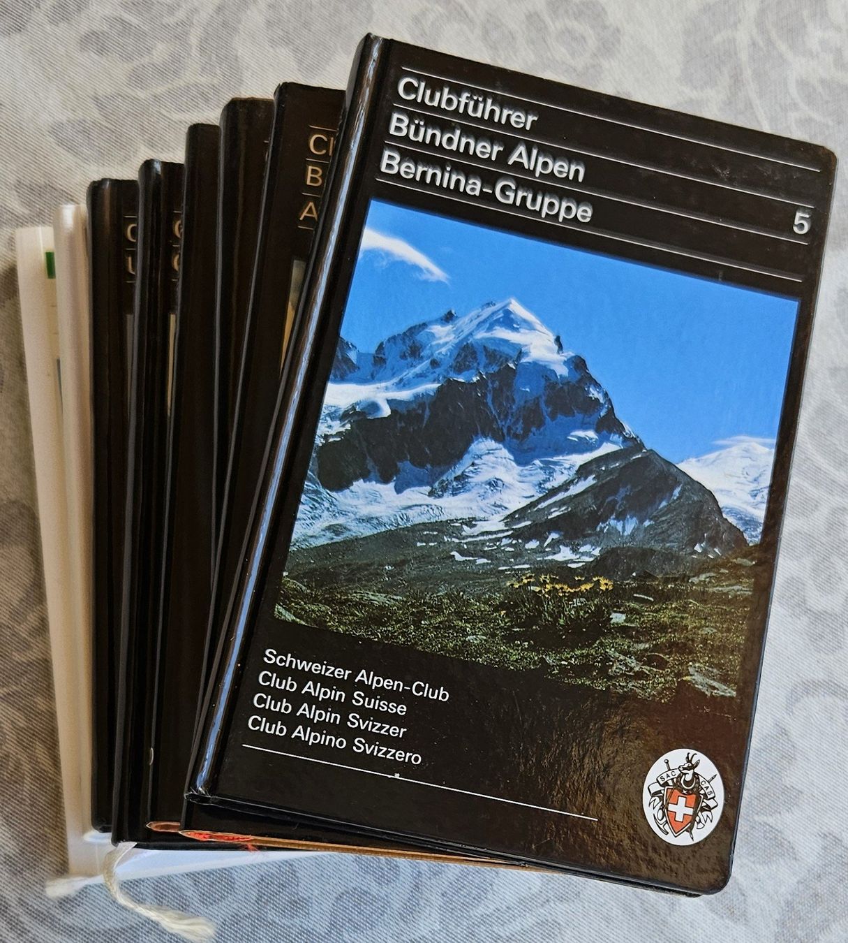 Libri: SAC Clubführer – Usato da Meiringen venduto da luma9