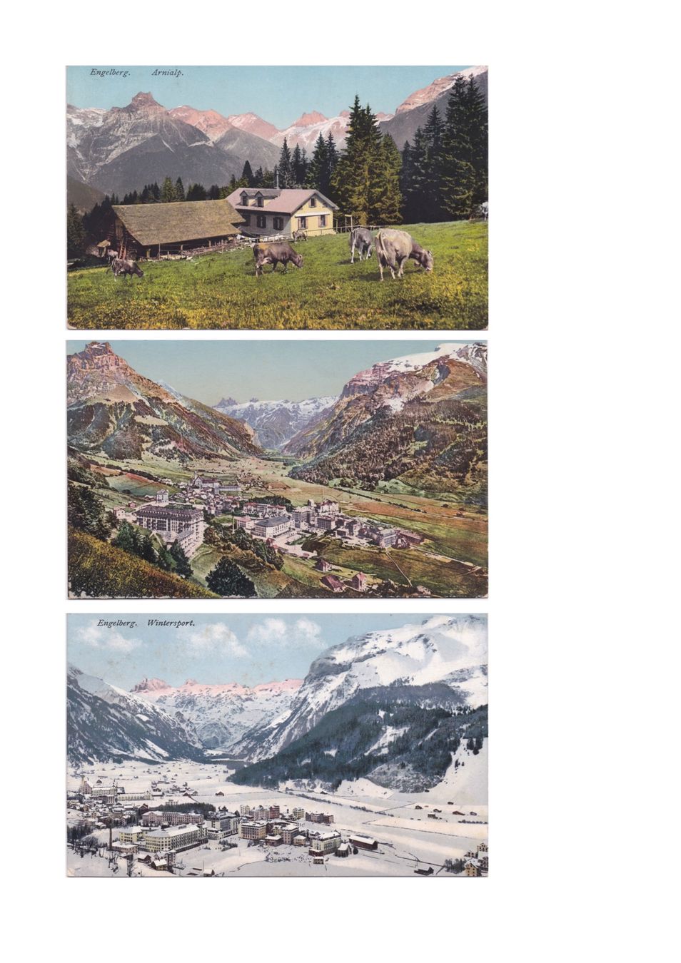 Ansichtskarten: Konvolut Engelberg – Gebraucht aus Baar von dokuba 6
