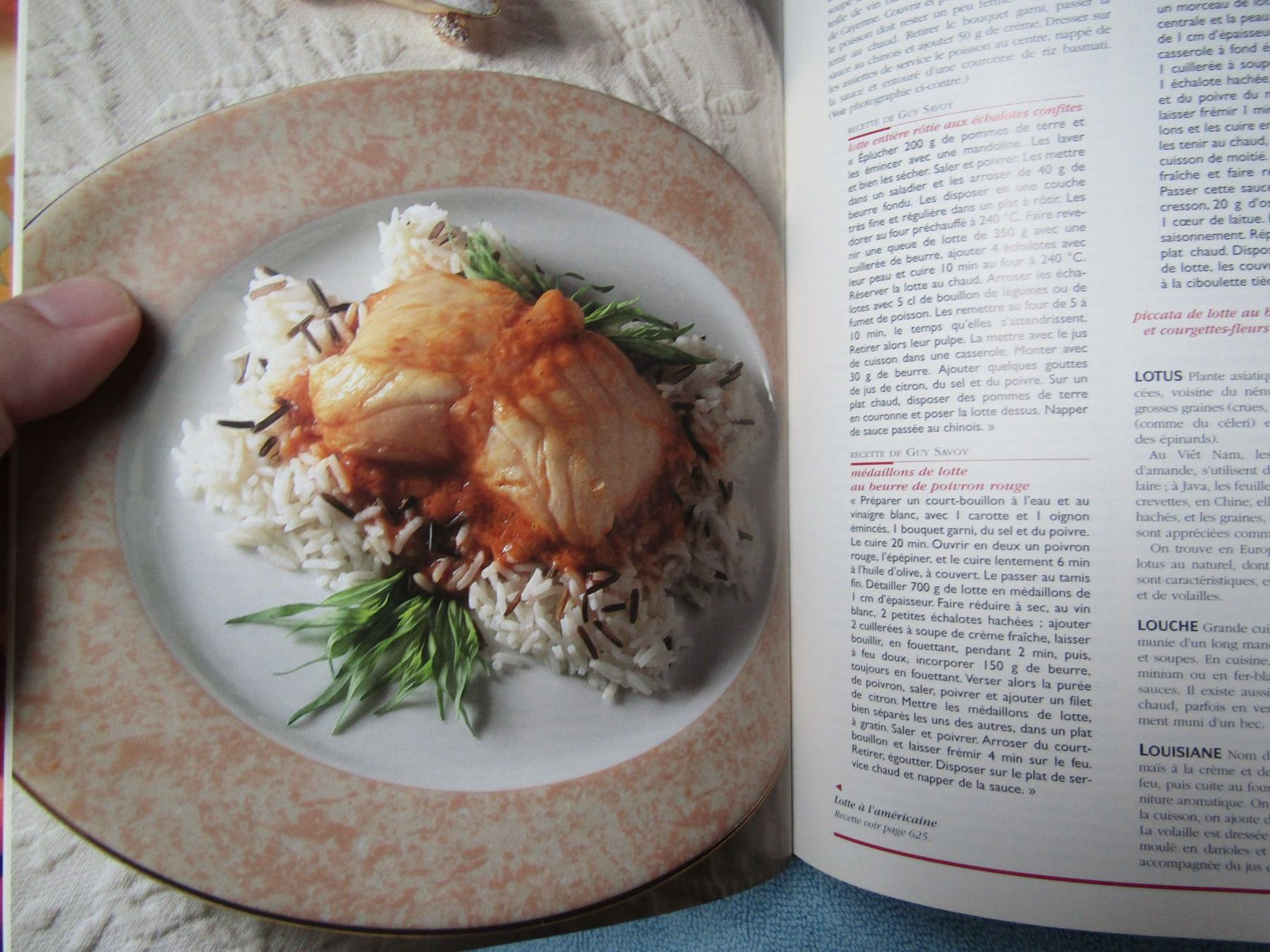 Bücher: Larousse Gastronomique: Livre de cuisine de référence! – Gebraucht aus La Tour-de-Peilz von Pierre25