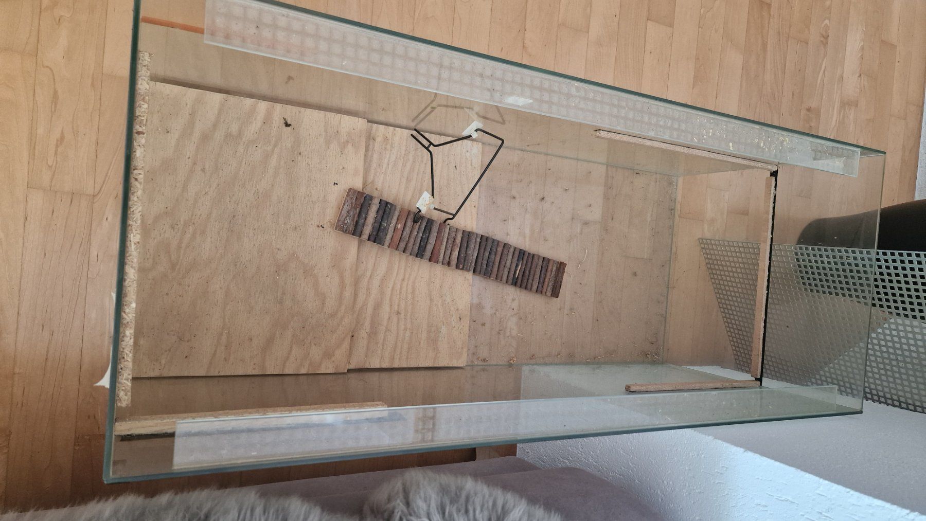 Terrario: Nagerterrarium aus Glas mit Gitterabdeckung – Usato da Weisslingen venduto da and-lo73 1