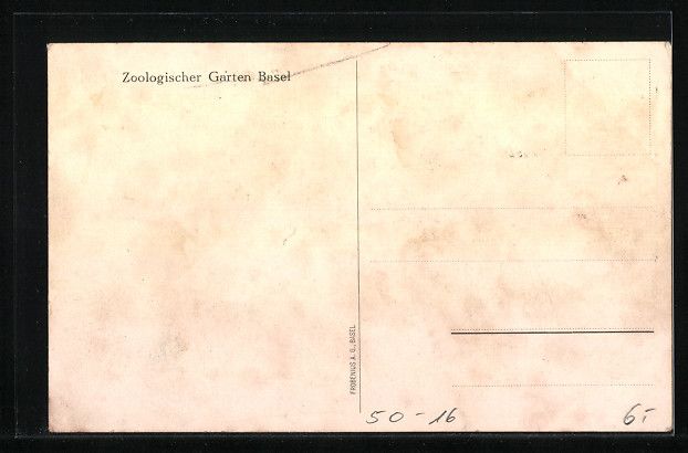 Cartoline postali: Basel, Schimpansen am Tisch, Zoologische – Usato da Berlin venduto da bartko-reher 1