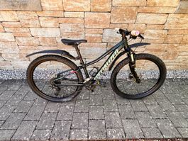 Kinder Mountainbike "Specialized Rockhopper" XS
