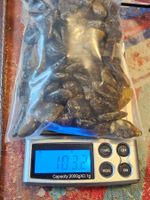 100 Gr lot Bernstein aus Bitterfeld De Naturbernstein Natur