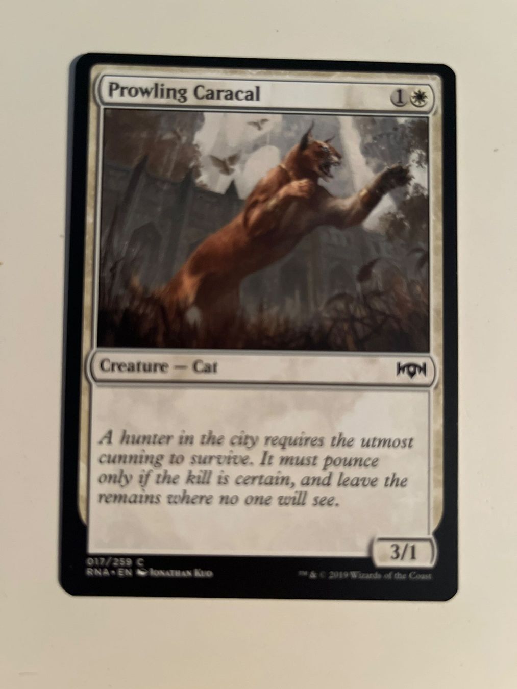 Magic The Gathering Carte collezionabili: 1 x Prowling Caracal - Magic: The Gathering - MtG – Usato da Kriens venduto da Shadi1980