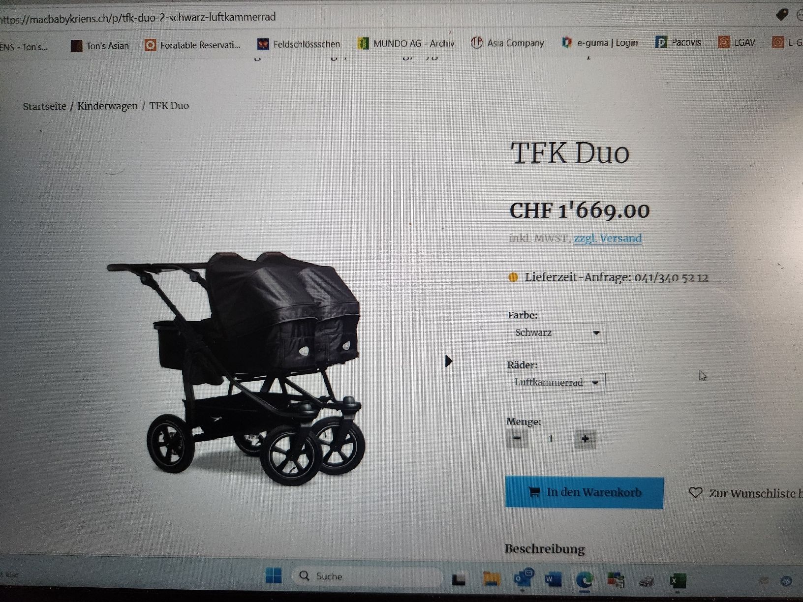 Tfk Carrozzine: Tfk Duo 2 Kombi – Usato da Hergiswil NW venduto da Carnival 2