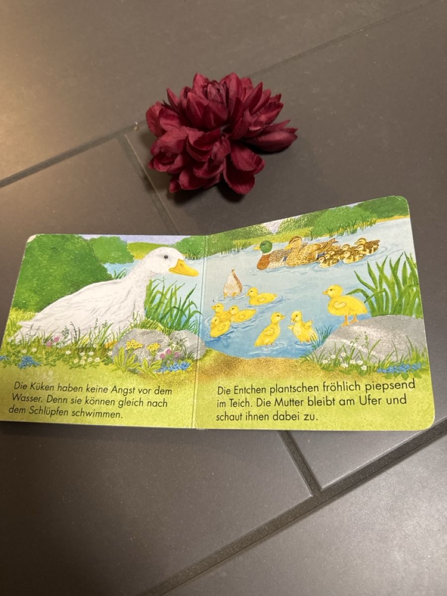Libri: Kosmos Kinderbuch Das kleine Küken – Usato da Zürich venduto da Belisimo 4