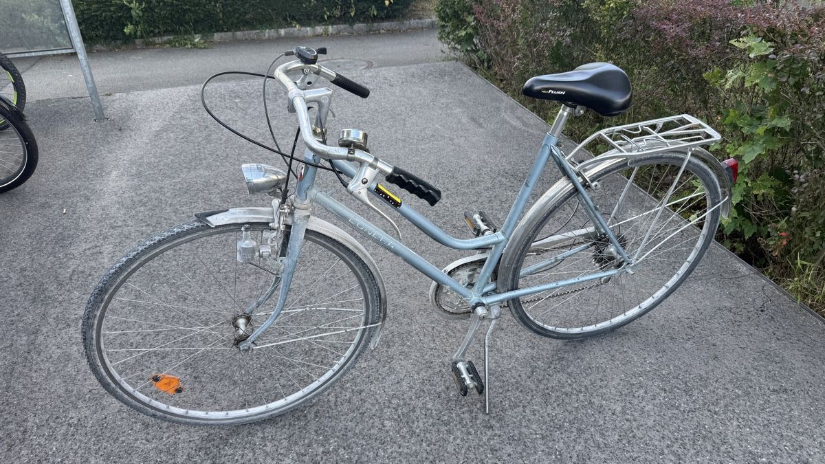 Condor Biciclette: Damenvelo / Stadtvelo / Condor – Usato da Nidau venduto da ClaSsic89