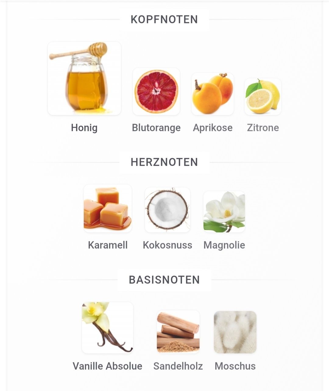 Profumi & Eau de Toilette: NUSUK Raheeq 100ml – Nuovo (secondo la descrizione) da Winterthur venduto da Je. 4