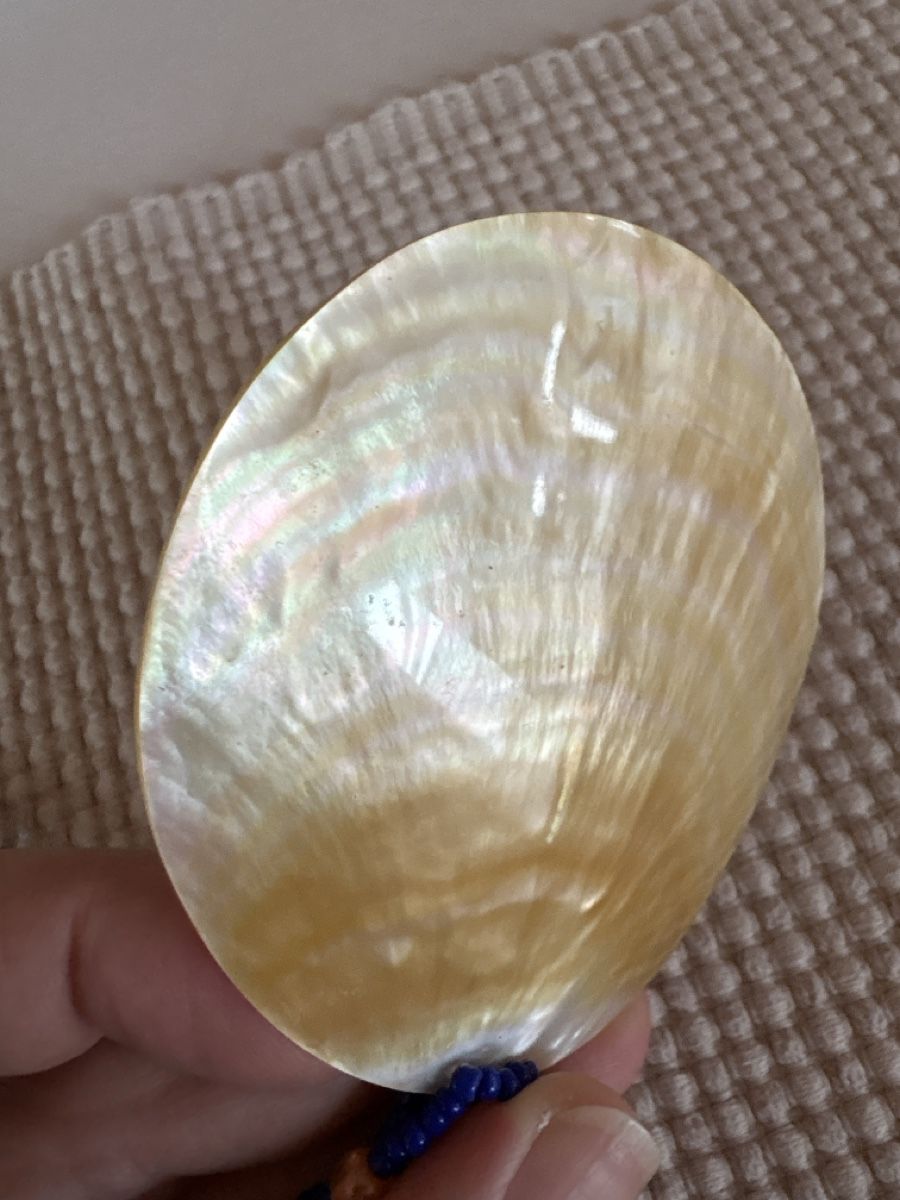 Catenine: Kette mit grossem Muschel / Perlmutt Anhänger – Usato da Rümlang venduto da BoutiqueMonique16 1