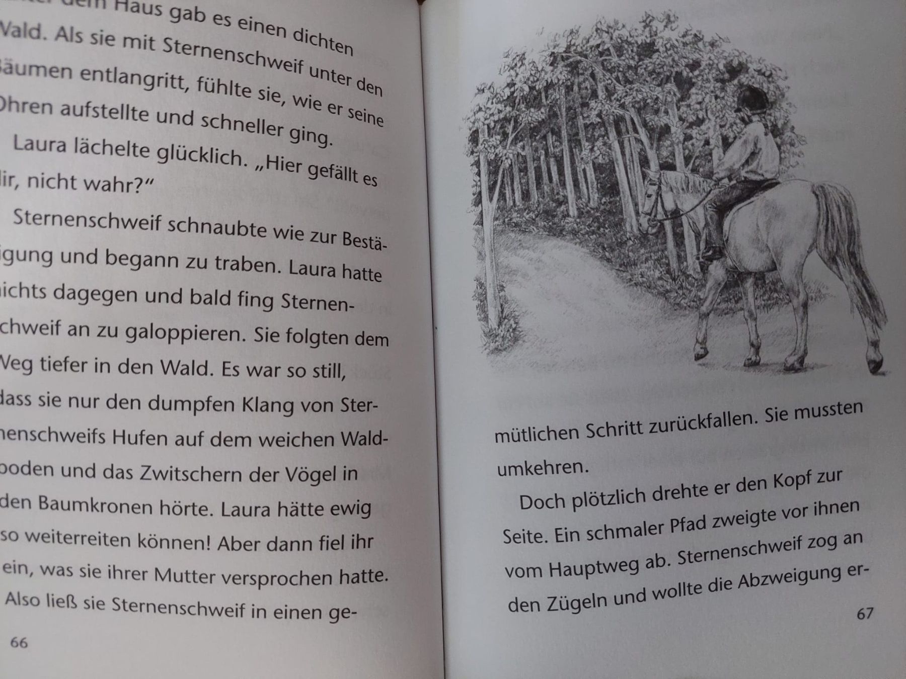 Livres: Sternenschweif Band 1 Kosmos – D'occasion à Bächli (Hemberg) par Stern015 2