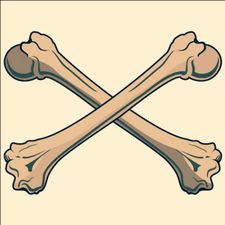 Profile image of X-Bone-X