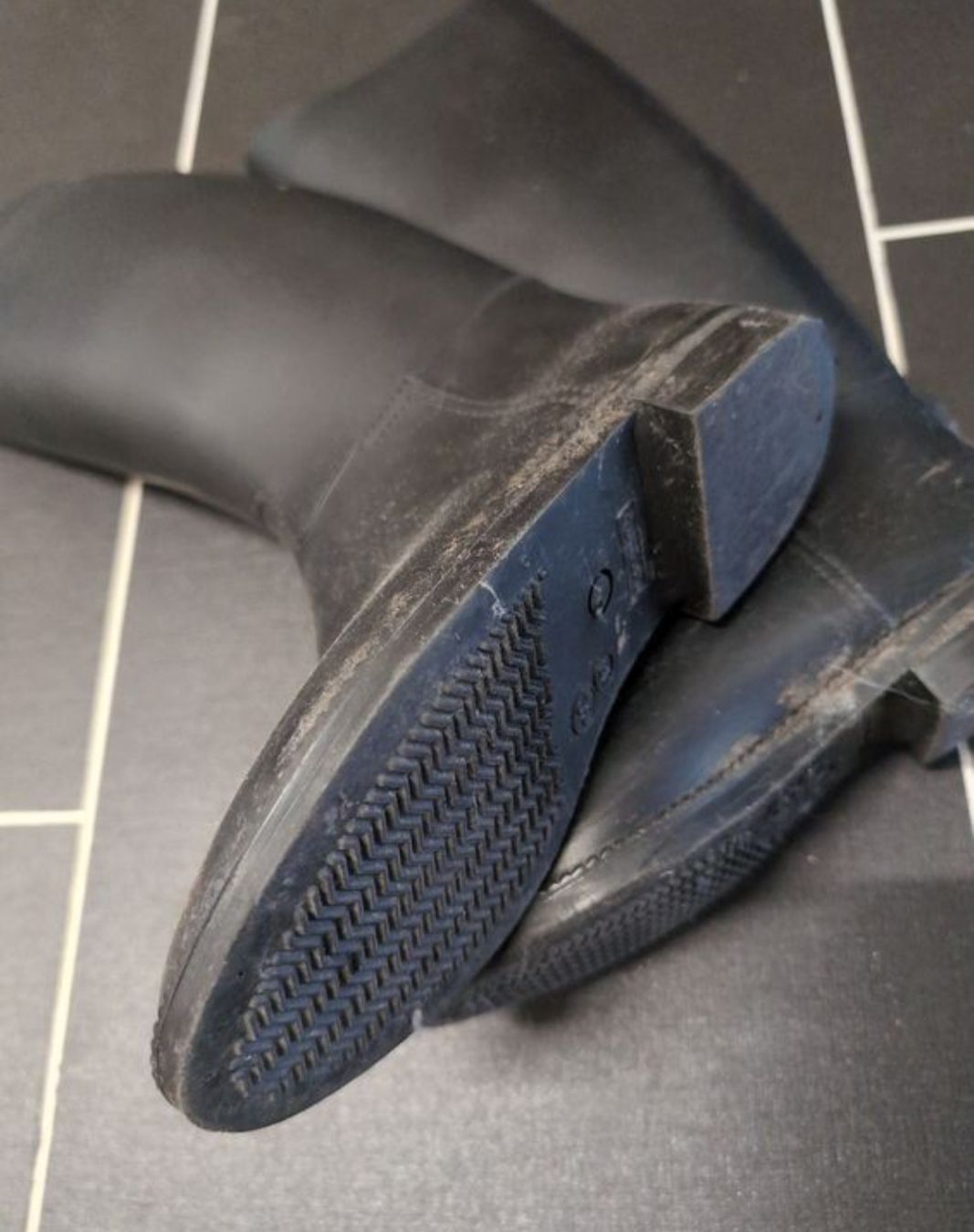 Herrenschuhe: Reitstiefel Gr 32 – Gebraucht aus Binz von julijuli 1