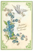 Herzlichen Glückwunsch zum Namenstag - Taube - Präge-Litho