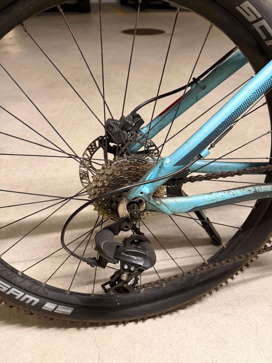 Scott Biciclette: Gebrauchtes Mountainbike Scott Contessa – Usato da Bonstetten venduto da corinnewal 3