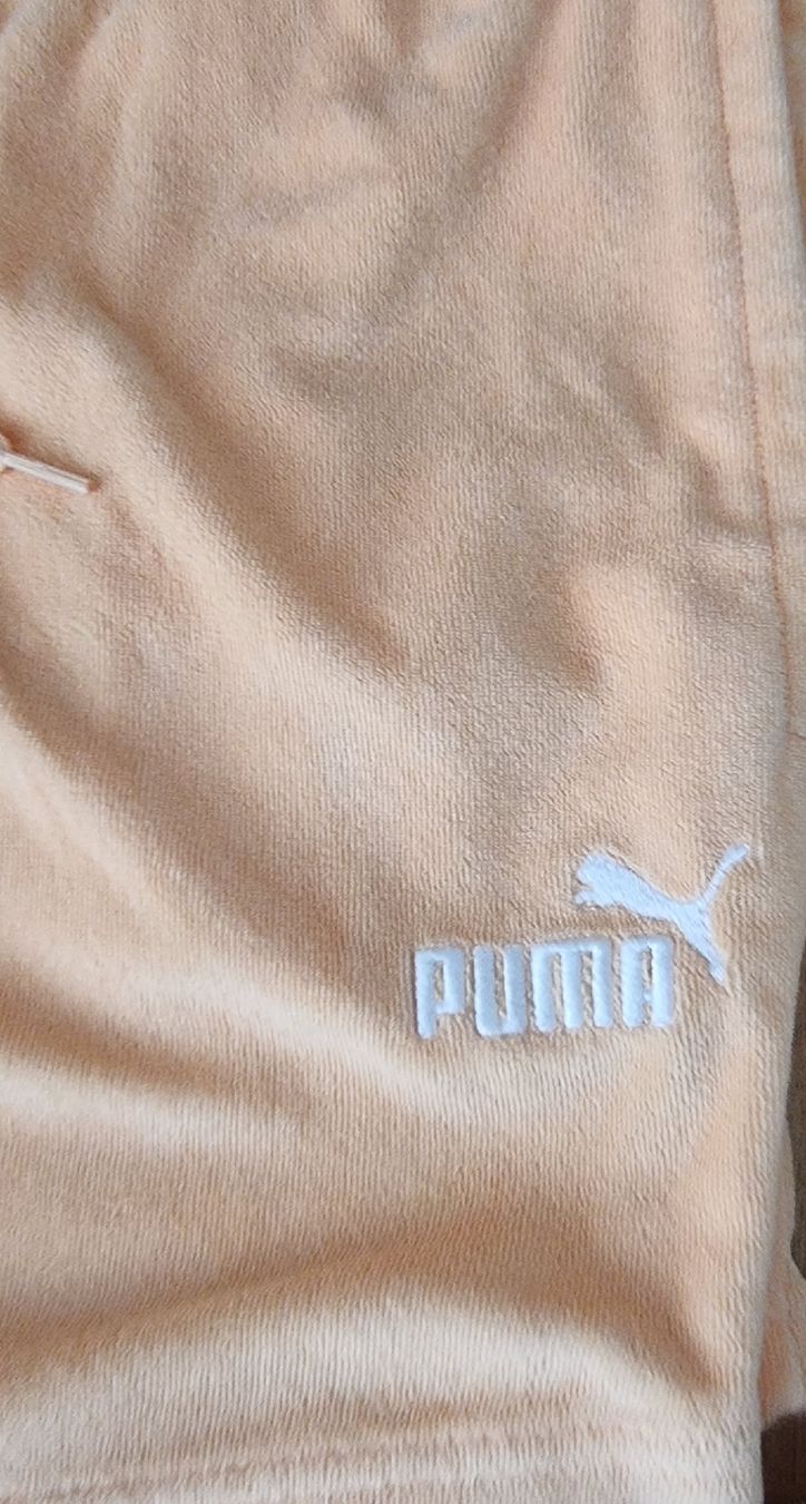 Pantaloni: 2 Stk. Shorts "Puma",Gr.XL – Nuovo (secondo la descrizione) da Frauenfeld venduto da Bleeddragon 2