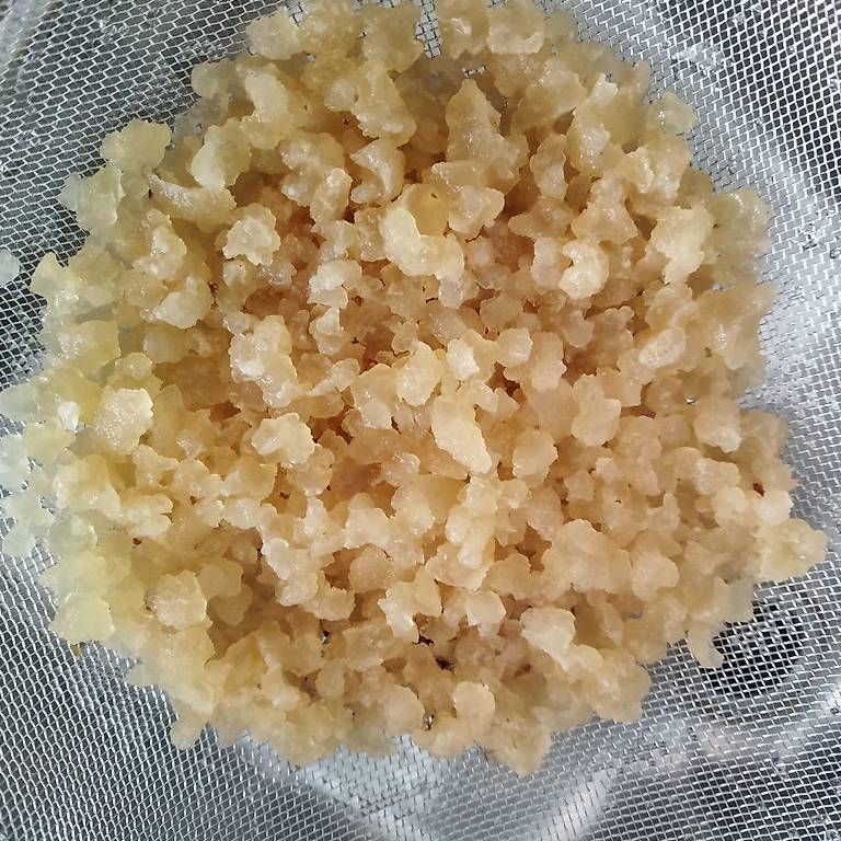 Cibi & Specialità: Wasserkefir – Nuovo (secondo la descrizione) da Kollbrunn venduto da Rompecabeza