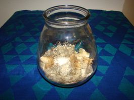 Glas mit Muscheln, Sand für Kerzen - Sommerdeko für Zuhause!