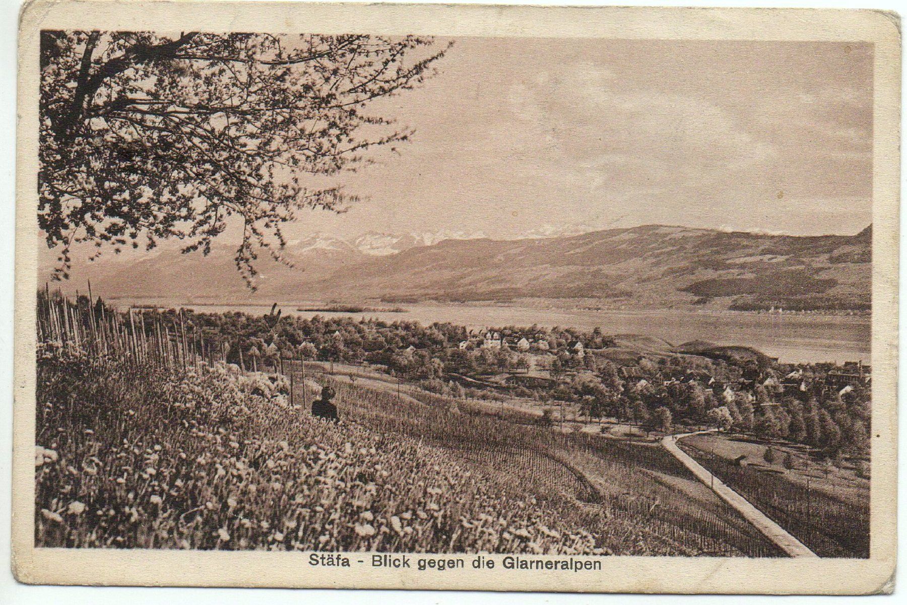 Cartes postales: STÄFA Blick gegen die Glarneralpen – D'occasion à Jona par philajona
