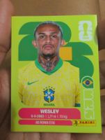 Wesley BRA 8