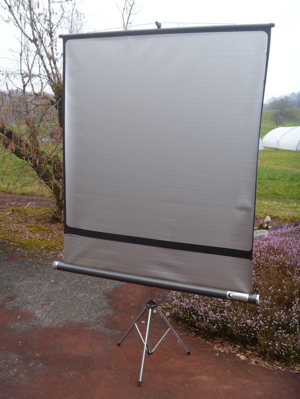 Home Cinema: portable Projektionsleinwand Champion – Usato da Rüti ZH venduto da baumchen