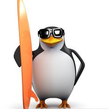 Profile image of zhb_xcy7