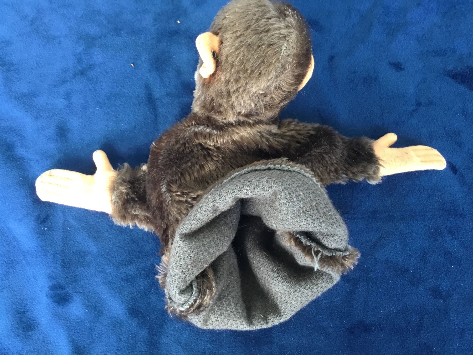 Steiff Giocattoli: Steiff Handpuppe Affe Jocko – Usato da Gossau ZH venduto da ClaudealDente 4
