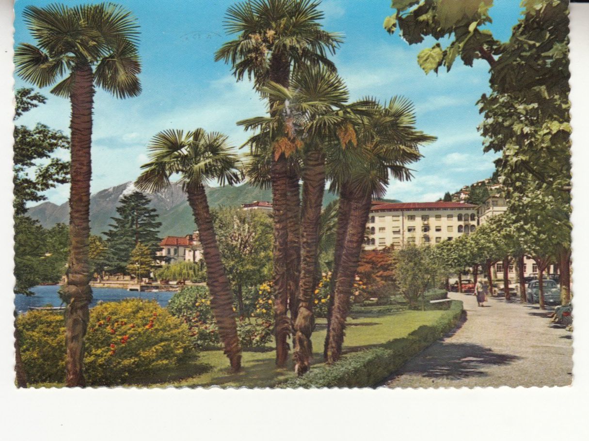 Cartoline postali: Locarno 1961 – Usato da Bürglen TG venduto da StampGraf