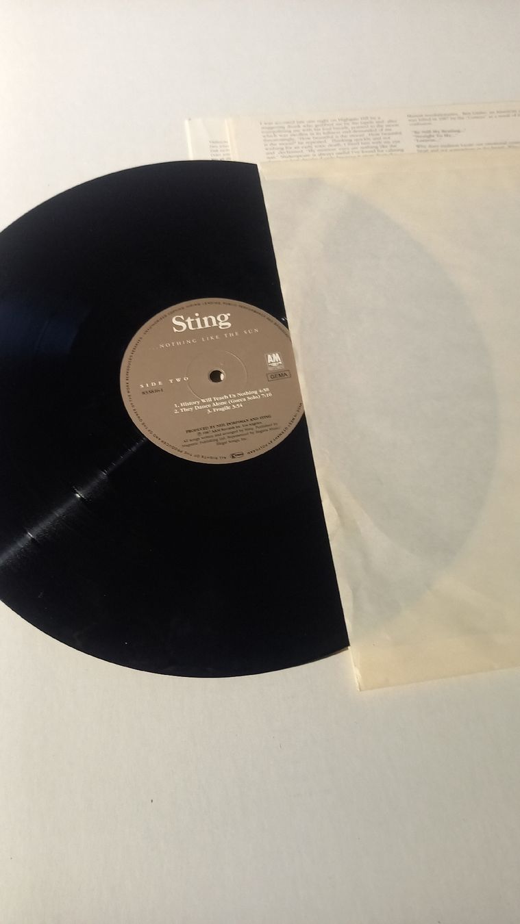 Dischi in vinile: Sting - Nothing Like The Sun LP – Usato da St. Gallen venduto da Bir_Rer 2