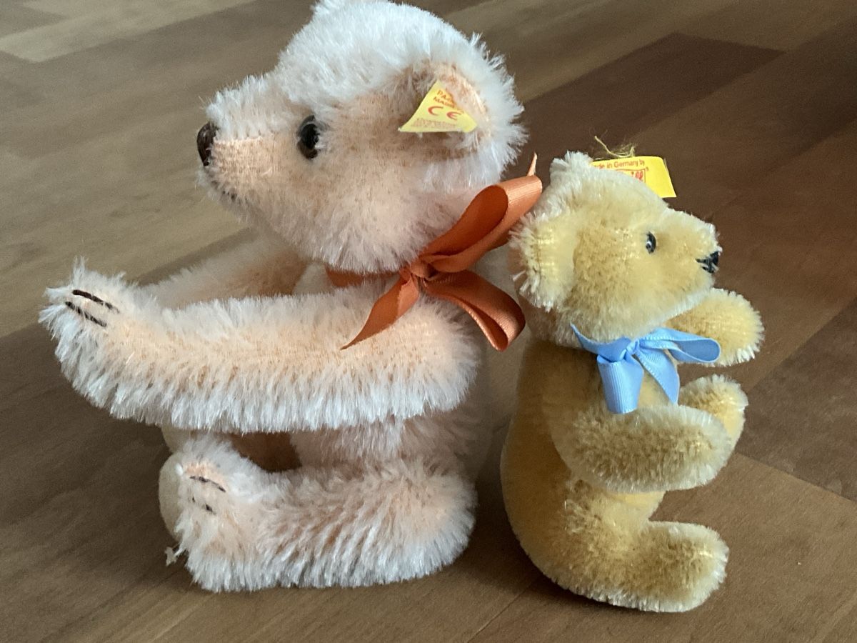 Steiff Giocattoli: 2 Steiff Teddybären – Nuovo (secondo la descrizione) da Schmitten FR venduto da Chili58 3