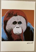 Andy Warhol: Orangutan 75/100