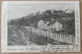 Binningen um 1900