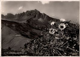 Alvierkette vom Gonzen aus, Nr.20441, von 1939